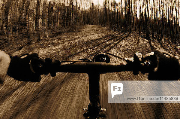 Die Perspektive eines Mountainbikers beim Reiten in Peters Creek AK