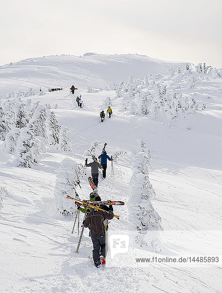 Skifahrer und Snowboarder wandern an mit Reif bedeckten Bäumen vorbei  die den Weg zum Skifahren abseits der Pisten im Eaglecrest-Skigebiet säumen  Juneau Alaska