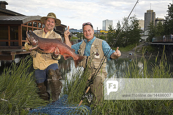 Fischer posiert mit Königslachs am Ship Creek in der Innenstadt von Anchorage  Alaska im Sommer