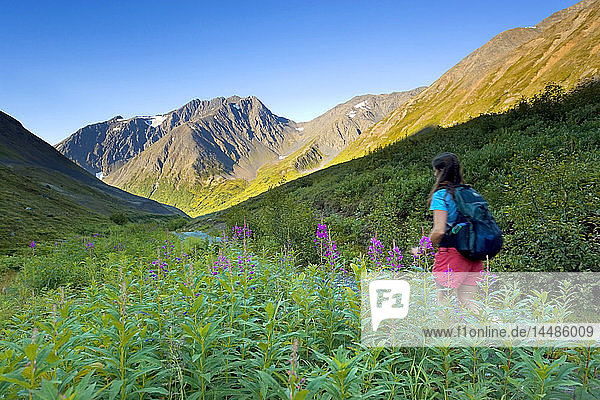 Frau beim Wandern auf dem Crow Pass Trail von der Girdwood-Seite im Chugach State Park Alaska Sommer