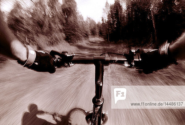 Fahrradfahren auf dem Trail Kincaid Park AK Rider´s Perspective