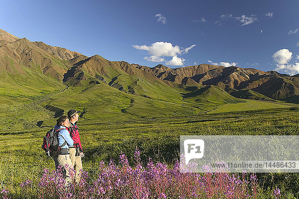Couple Hiking on Highway Pass in Fireweed Denali NP AK IN Summer