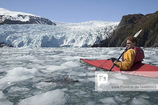 Mann fährt Kajak auf der Eisscholle des Aialik-Gletschers KP AK Spring Kenai Fjords NP