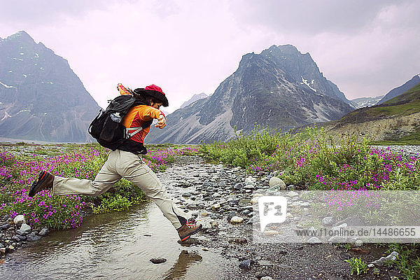 Woman hiker leaping across stream while hiking in meadow of wildflowers Lake Clark National Park Alaska