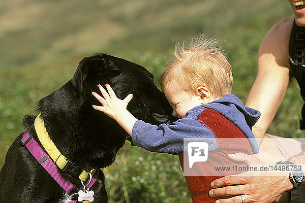 Mann beim Wandern mit Kind und Hund Chugach SP SC AK