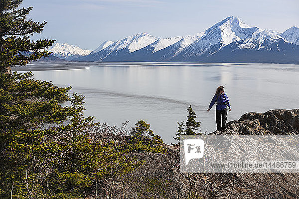 Woman day hiking on a ridge overlooking Turnagain Arm along the Seward Highway  Southcentral Alaska  Spring