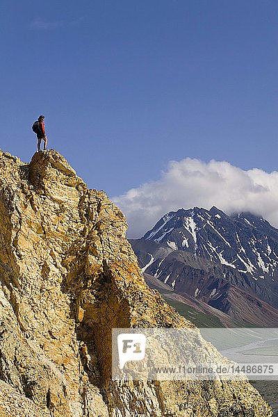 Hiker standing on rock outcrop overlooking Toklat River valley Polychrome Pass Denali Nat Park Alaska