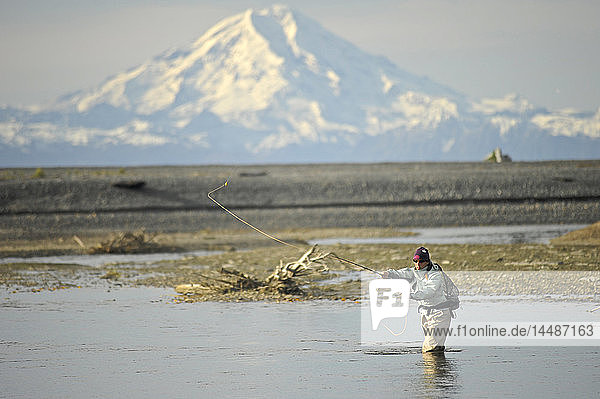 Woman fly fishing for wild Steelhead on Deep Creek with Mt. Redoubt in the background  Kenai Peninsula  Southcentral Alaska  Autumn