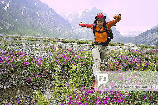 Wanderin  die beim Wandern in einer Wildblumenwiese über einen Bach springt Lake Clark National Park Alaska
