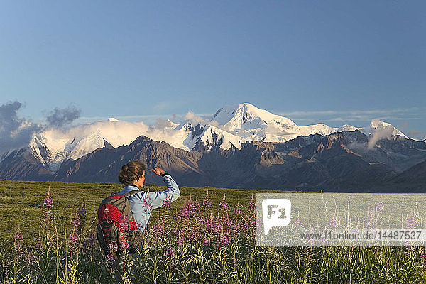 Frau Wandern auf Grassy Pass in Fireweed Denali NP AK IN Sommer
