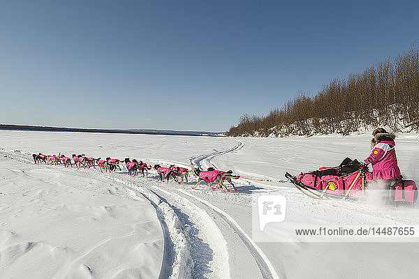 DeeDee Jonrowe runs down the bank and onto the Koyukuk river as she leaves the Koyukuk checkpoint during Iditarod 2015