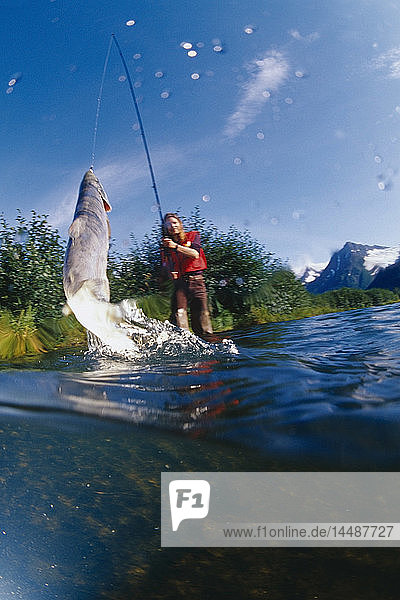 Person  die einen Lachs fängt Southcentral Alaska Sommer