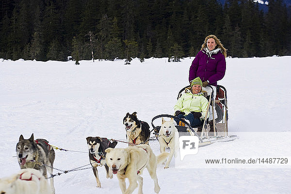 Guided dog mushing tour in Moose Meadows at Alyeska Resort near Girdwood in Southcentral Alaska