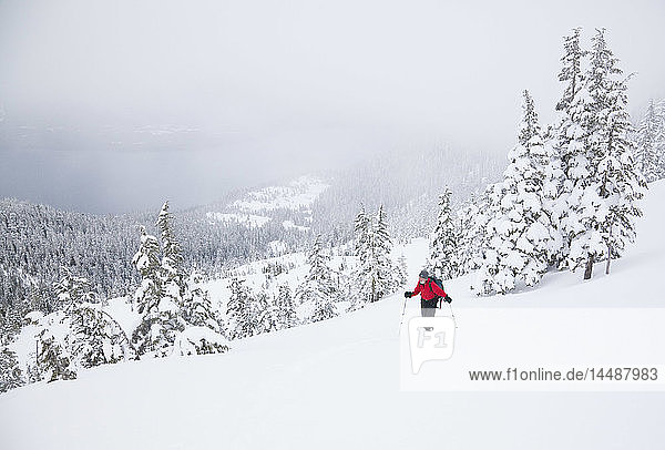 Mature man skiing the North Wrangell Trail in the Tongass national Forest  Wrangell Island  Southeast Alaska