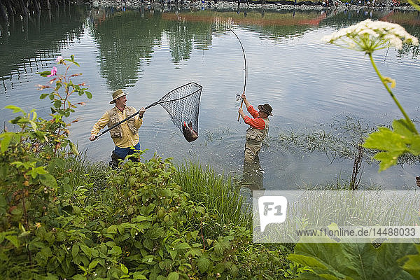 Drei Fischer beim Lachsfang im Ship Creek in der Innenstadt von Anchorage  Alaska  im Sommer