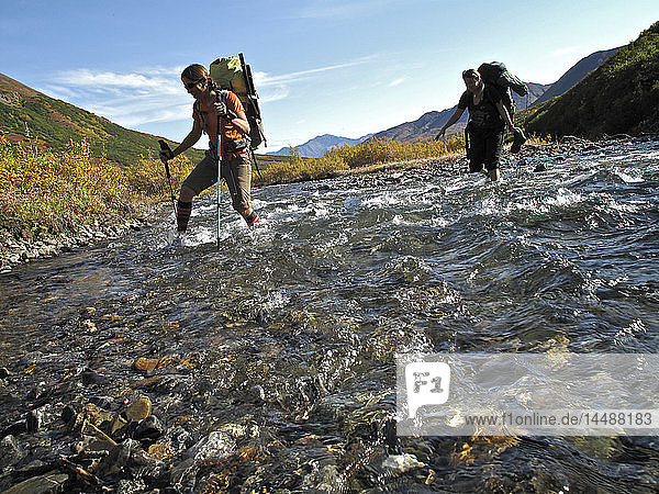 Two female hikers with walking sticks crosses Windy Creek along the Sanctuary River Trail in Denali National Park  Interior Alaska  Autumn