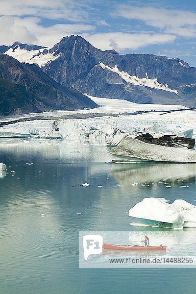 Kanufahrerin paddelt zwischen den Eisbergen im Bear Glacier Lake mit dem Bear Glacier im Hintergrund  Kenai Fjords National Park  Kenai Peninsula  Southcentral Alaska  Sommer
