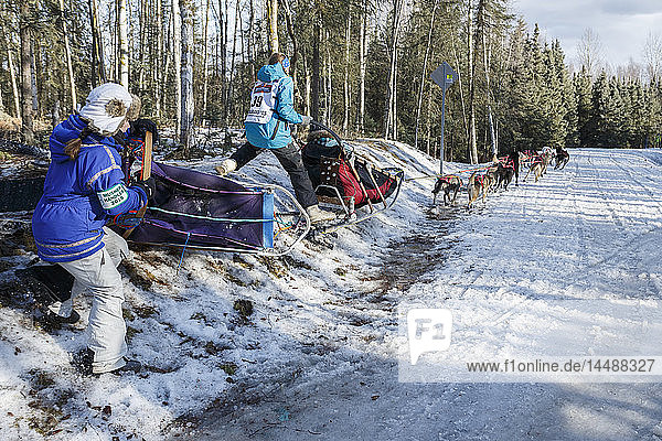 Anna Berington and handler take a tight turn at Goose Lake during the ceremonial start day of Iditarod 2015 in Anchorage  Alaska.
