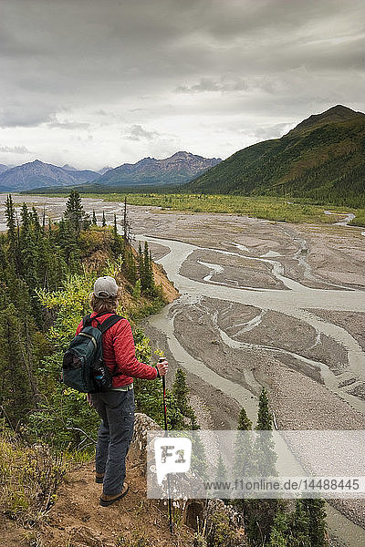 Wanderin hält an  um den Teklanika River und die Alaska Range in der Nähe des Teklanika Campgrounds zu betrachten  Denali National Park  Interior Alaska  Sommer