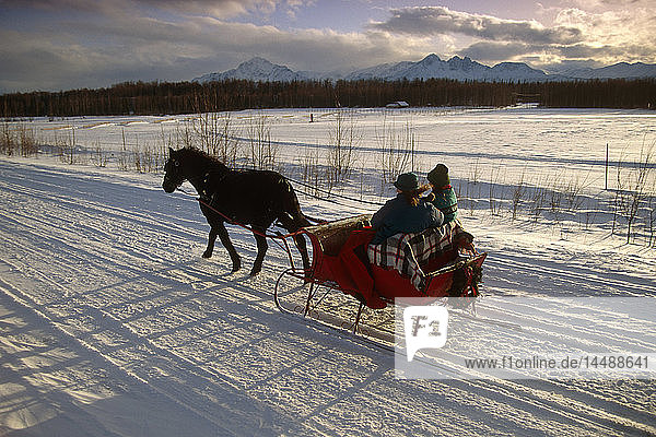 Horse Drawn Sleigh in Chugach Mtns SC AK Winter Mat-Su Valley