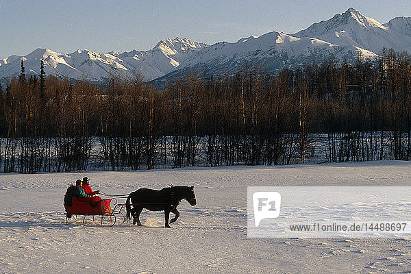 Couple in Horsedrawn Sleigh Chugach Mtns Mat-Su Valley SC AK Winter