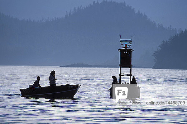 Menschen im Boot schauen auf den Stellerschen Seelöwen an der Boje AK PWS Summer bei Cordova