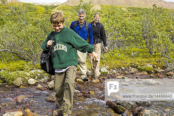 Familie beim Überqueren eines Baches während einer Wanderung in der Tundra in der Alaska Range in der Nähe des Highway Pass  Denali National Park  Interior Alaska  Sommer/n