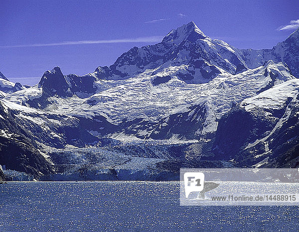 Buckelwale Schwanz Johns Hopkins Glacier SE AK Kompositbild