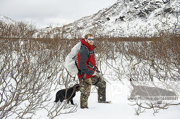 Mann jagt mit seinem schwarzen Labradorwelpen und seinem Schokoladenlabor im Granite Basin in der Nähe von Juneau  Südostalaska  im Winter auf Schneehühner