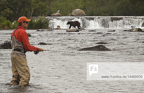 Fly fisherman and brown bears at Brooks Falls on Brooks River  Katmai National Park  Bristol Bay  Alaska  summer  composite