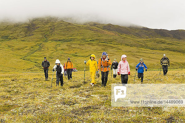 Group of guided hikers on tundra in the rain and fog near Highway Pass  Alaska Range  Denali National Park  Interior Alaska  Summer/n