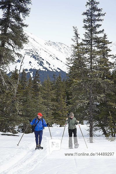 A mature couple snowshoe through a spruce forest near the Moose Meadow trail in Girdwood  Southcentral Alaska  Spring