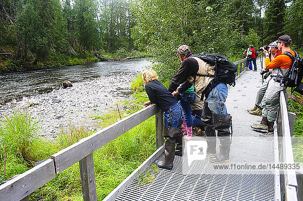 Fishermen stop along the boardwalk to photograph a Brown Bear fishing for salmon on the Russian River  Kenai Peninsula  Alaska