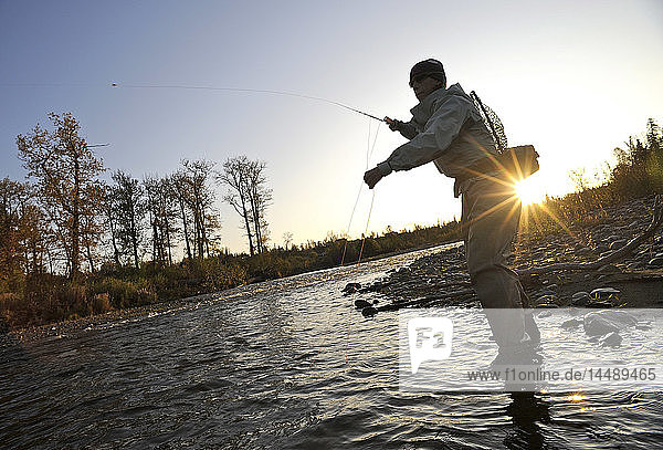 Silhouette einer Frau  die mit der Fliege fischt und auf wilden Steelhead am Deep Creek wirft  Kenai-Halbinsel  Southcentral Alaska  Herbst