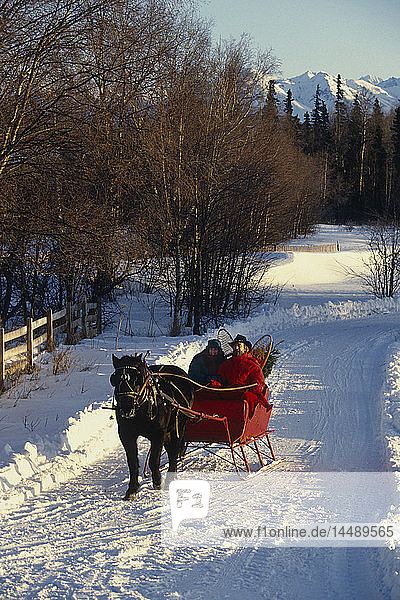 Ehepaar im Pferdeschlitten Chugach Mtns Mat-Su Valley SC AK Winter