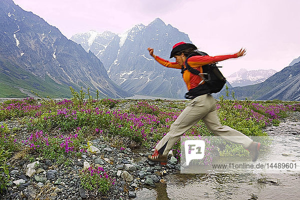 Woman hiker leaping across stream while hiking in meadow of wildflowers Lake Clark National Park Alaska