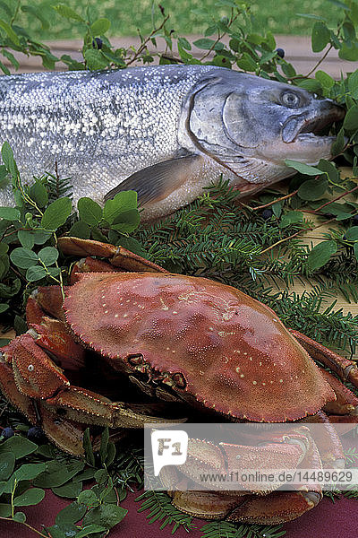 Salmon and Dungeness Crab Product Shot Alaska