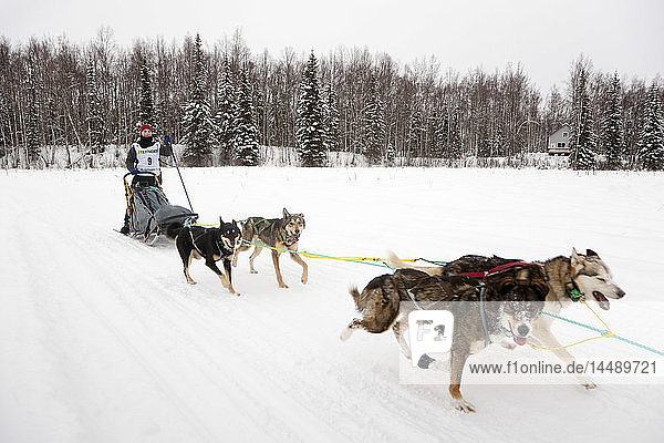 Merissa Osmar on the trail shortly before winning the 2010 Junior Iditarod Sled Dog Race  Willow  Southcentral AK