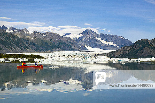 Female canoeist paddles amongst the icebergs in Bear Glacier Lake with Bear Glacier in the background  Kenai Fjords National Park  Kenai Peninsula  Southcentral Alaska  Summer