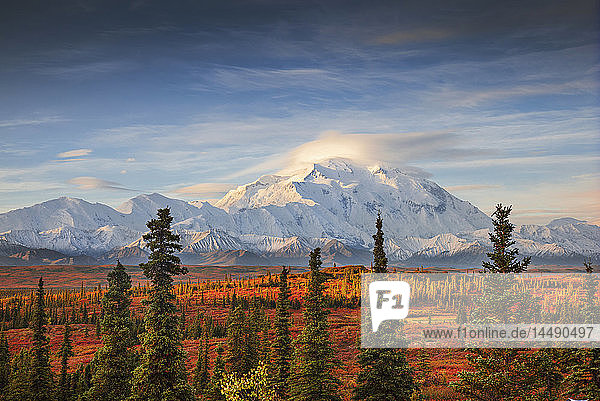 Frühmorgendliche Aufnahme der Nordwand des Mt. McKinley (Denali) vom Wonder Lake-Campingplatz aus mit Alpenglühen auf dem oberen Berg und linsenförmigen Wolken  die den Gipfel des Nordgipfels im Denali-Nationalpark im Inneren Alaskas bedecken. Herbst. HDR