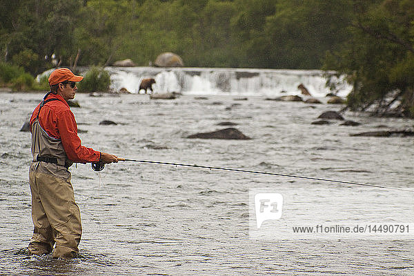 Fliegenfischer und Braunbären an den Brooks Falls am Brooks River  Katmai National Park  Bristol Bay  Alaska  Sommer  Composite