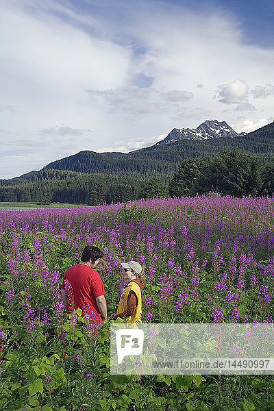 Couple hiking among Fireweed Admiralty Is Tongass National Forest Southeast Alaska Summer