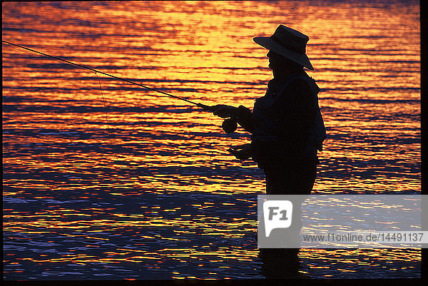 Fliegenfischer bei Sonnenuntergang Ship Creek Sommer SC AK