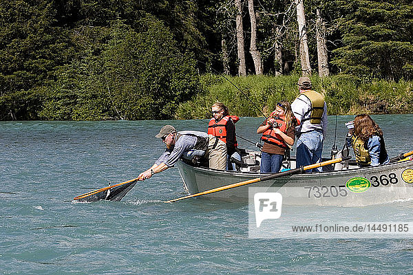 Guide netting fish from drift boat Kenai River Kenai Peninsula Alaska Summer
