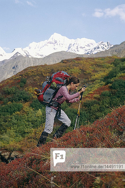 Eine Frau wandert den Surprise Pass hinauf und genießt die farbenfrohe Herbstvegetation im Wrangell St. Elisa National Park in Süd-Zentral-Alaska.