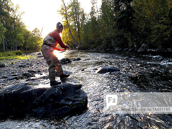 Woman fly fishing for Rainbow trout on the Russian River  Kenai Peninsula  Southcentral Alaska  Autumn
