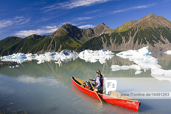 Female canoeist paddles amongst the icebergs in Bear Glacier Lake near Bear Glacier  Kenai Fjords National Park  Kenai Peninsula  Southcentral Alaska  Summer