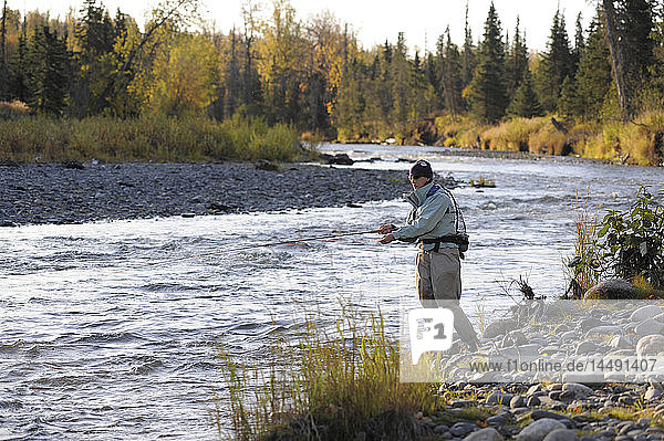 Woman flyfishing and casts for wild steelhead on Deep Creek  Kenai Peninsula  Southcentral Alaska  Autumn