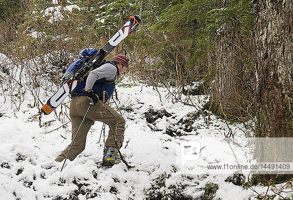 Ein Backcountry-Skifahrer wandert mit Skiern und Ausrüstung auf dem Rücken durch den Regenwald Südostalaskas  Südostalaska