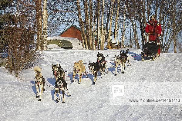 Lance Mackey auf dem Weg zum Takotna-Kontrollpunkt während des Iditarod-Schlittenhunderennens 2002  Innenalaska  Winter